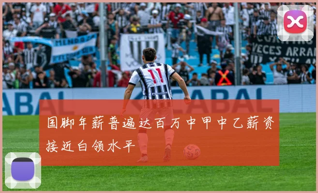 国脚年薪普遍达百万中甲中乙薪资接近白领水平