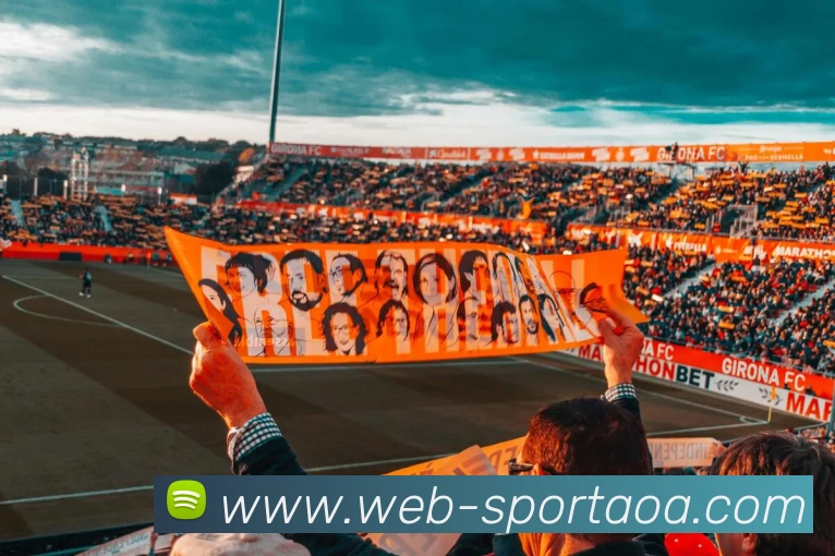 AOA体育服务体系