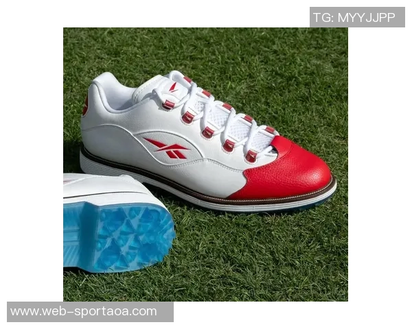 阿里纳斯直言艾弗森人气虽高却未获联盟力捧代言品牌仅限锐步